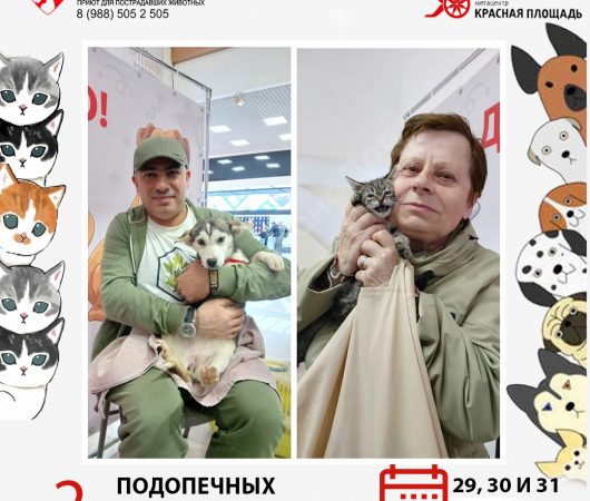 Спешим поделиться итогами выставки в Мегацентре 